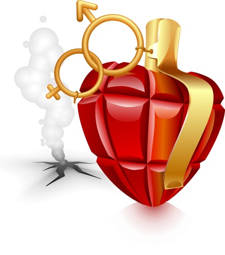 Grenade heart vector image