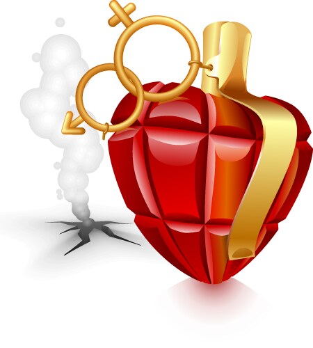 Grenade heart vector image