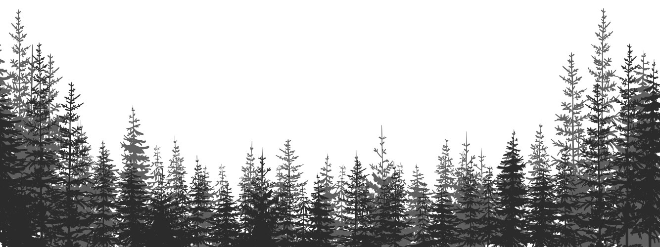 Forest landscape with black and white vector image