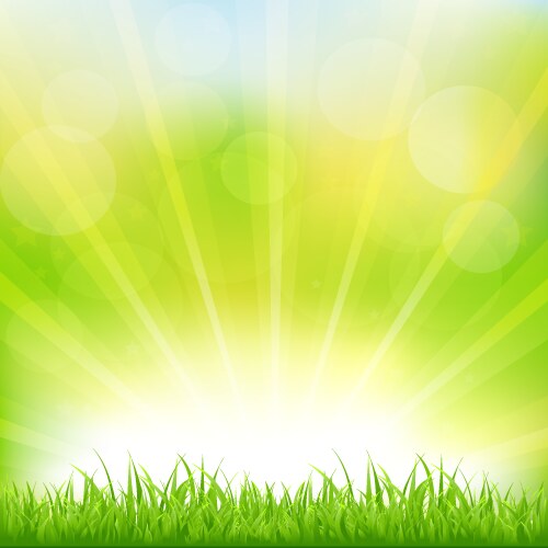 green background with grass and sunburst vector image