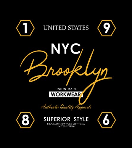 Nyc brooklyn typography slogan graphic vector image