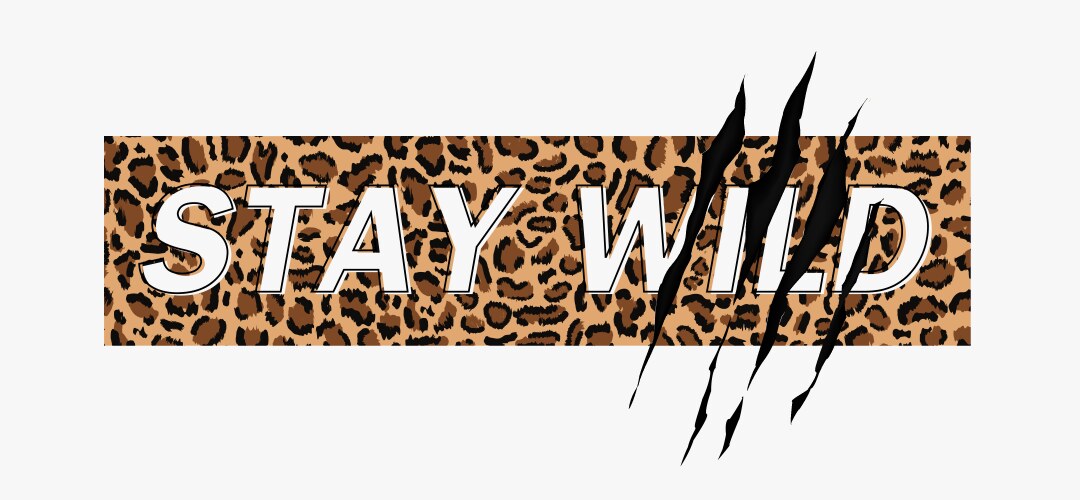 stay wild on leopard background vector image