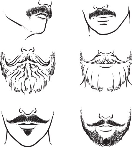 Hand drawn beards outline hipster mustache vector image