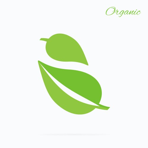 organic logo green leaf design flat vector image