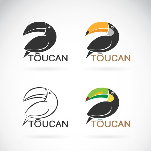 Image of an toucan bird design vector image