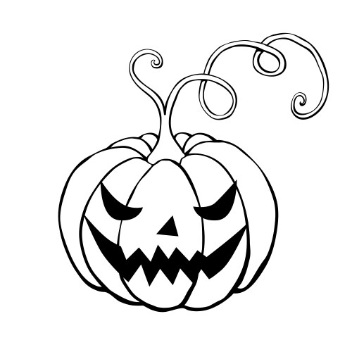 Outline halloween pumpkin jack lantern vector image