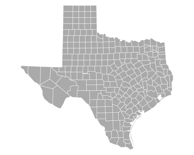 Map of texas vector image