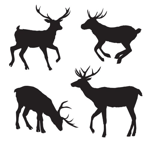 Decoration elegance horned object shadow buck doe vector image