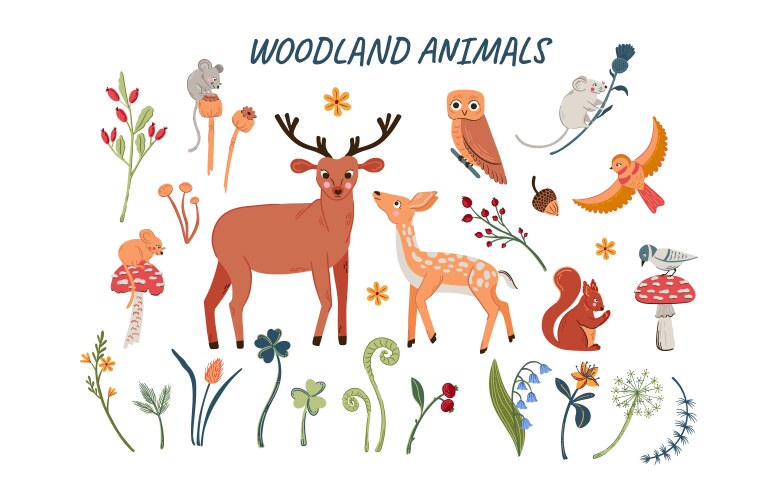 Wooden flora and fauna collection big set of cute vector image