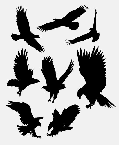 Eagle flying silhouettes vector image