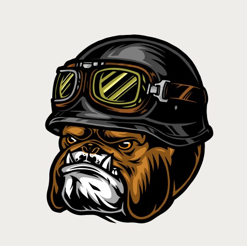 Colorful aggressive biker bulldog head vector image