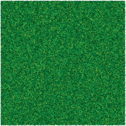 abstract texture with green lawn grass vector image