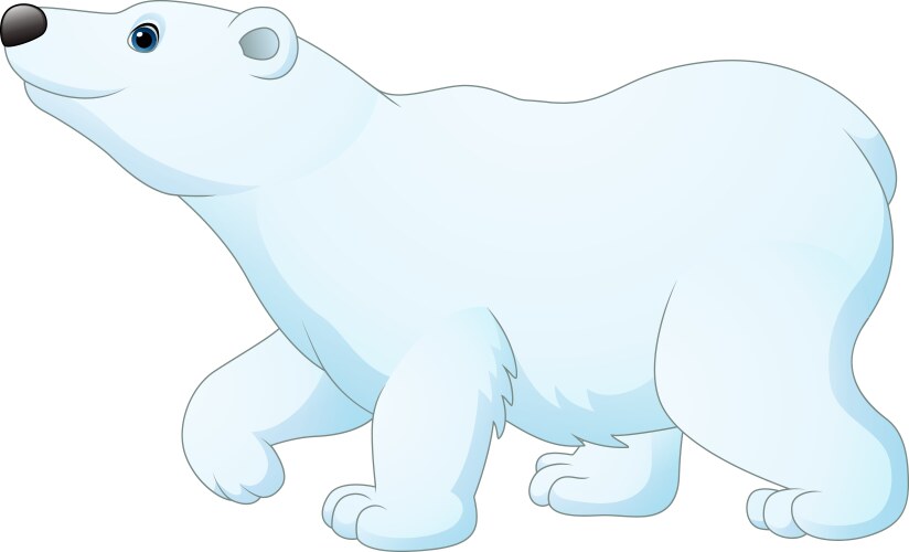 Cartoon polar bear isolated on white background vector image