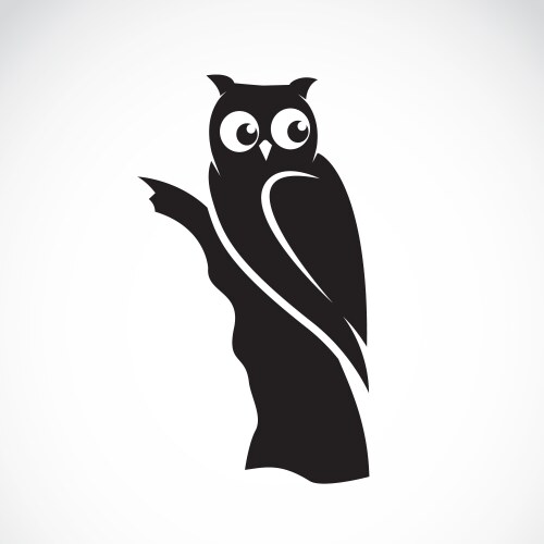 Owl vector image