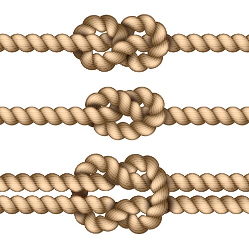 Rope knot vector image