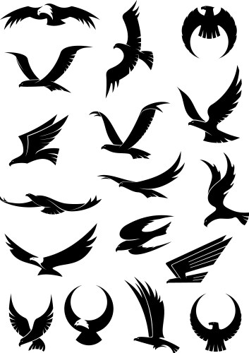 flying eagle falcon and hawk icons vector image