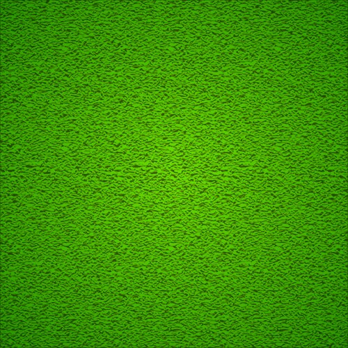 Green grass background vector image