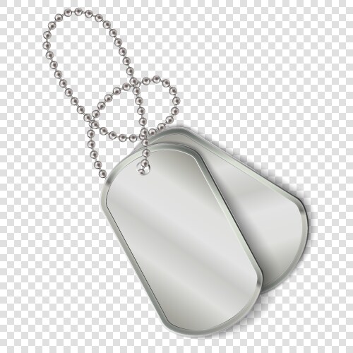 Military dog tags army chain vector image