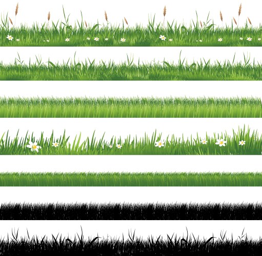 Green grass collection vector image