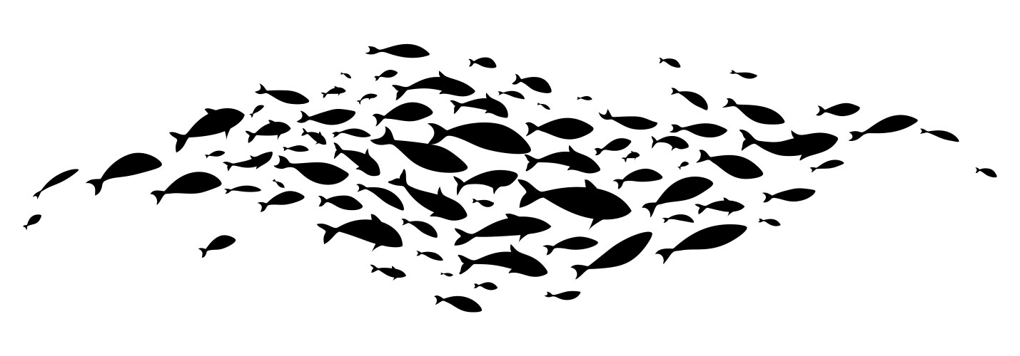 Large school black fish vector image