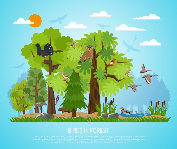 poster of birds in forest vector image