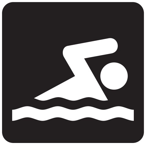 Swimming icon vector image