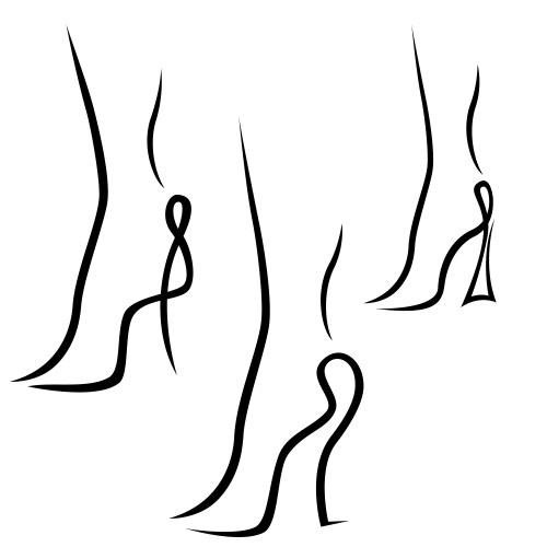 abstract samples of graceful female feet vector image