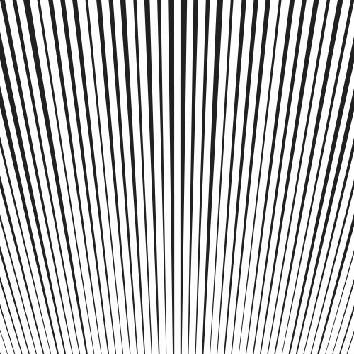 Background with black and white lines vector image