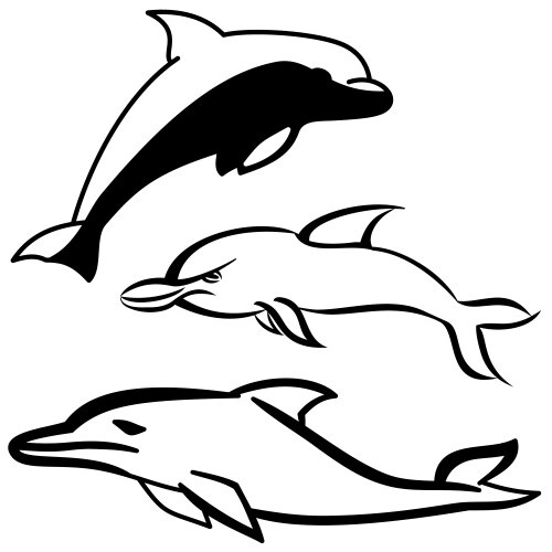 dolphin set vector image