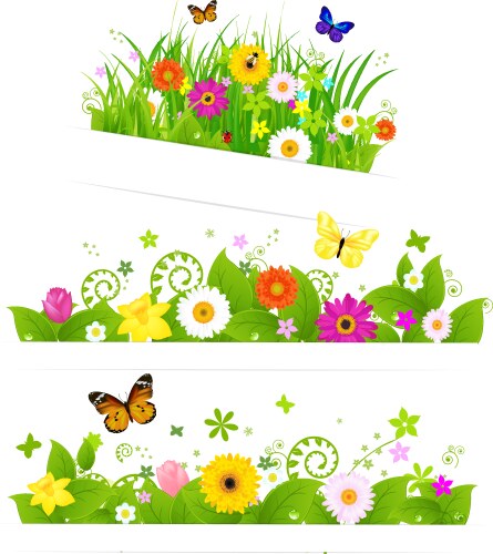 spring flower bouquet vector image