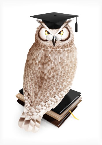 Academic owl realistic composition vector image