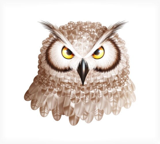 Owl head realistic composition vector image