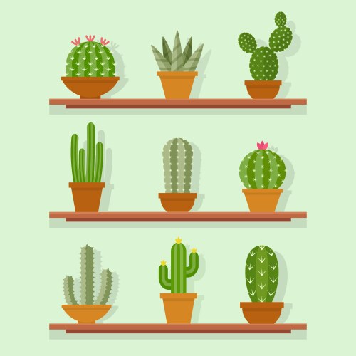 Cactus icon in a flat style vector image