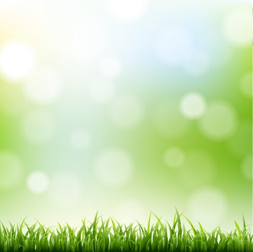 Grass border with bokeh background vector image