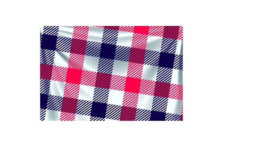 Two color square textile vector image