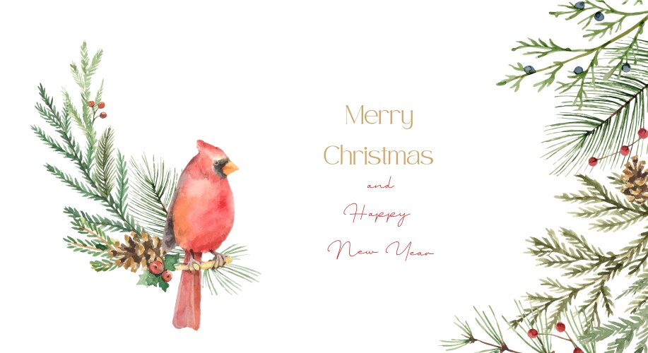 Watercolor christmas card with cardinal vector image