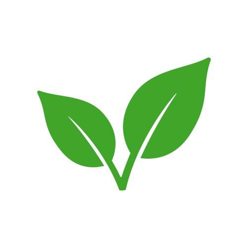 eco leaf or organic product icon vector image