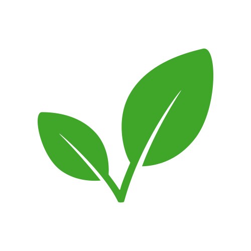 eco leaf or organic product icon vector image