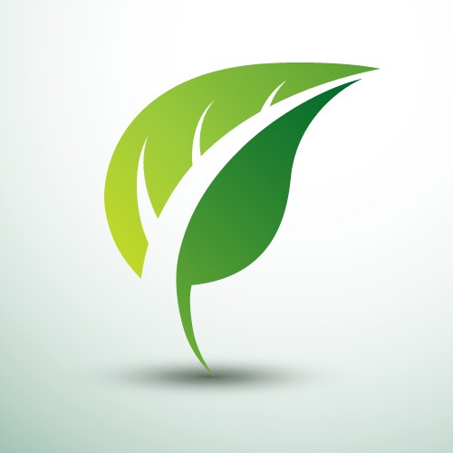 leaf logo vector image