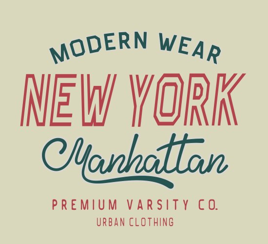 Typography new york label vector image