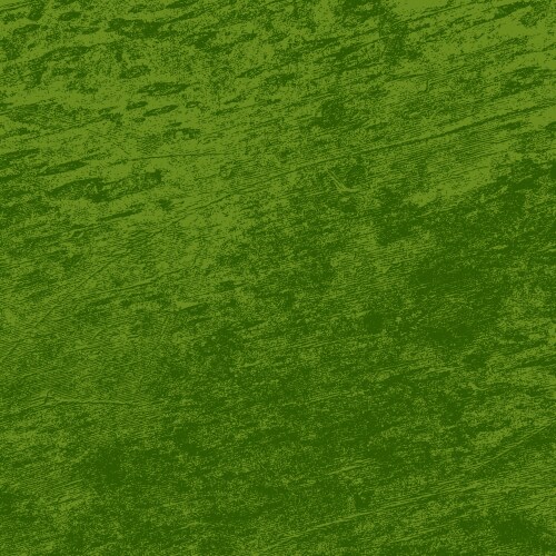 distress green texture vector image