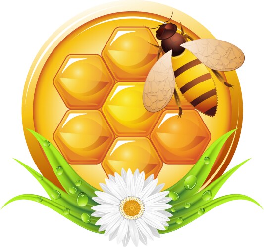 Honey vector image