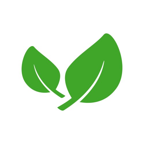 eco leaf or organic product icon vector image