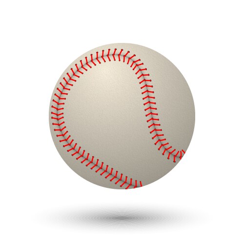 Realistic baseball ball vector image