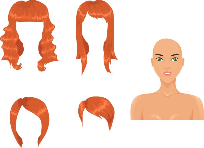 Red hair vector image