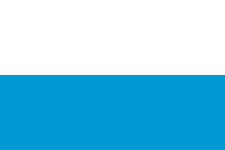 Official national flag of bavaria vector image