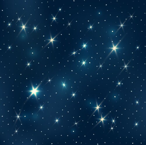 Starry night pattern vector image