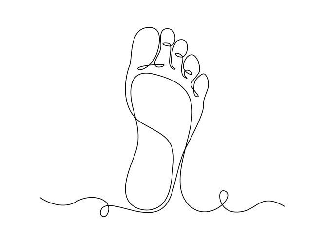 one continuous line drawing of bare foot elegance vector image