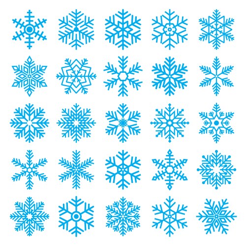 Christmas snowflakes set vector image