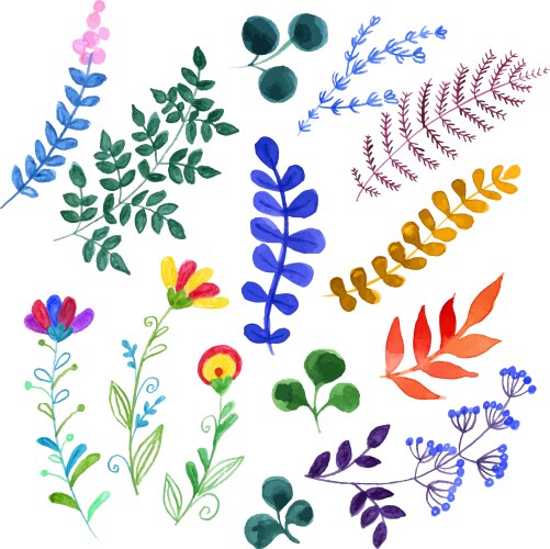 Set of beautiful watercolor flowers vector image